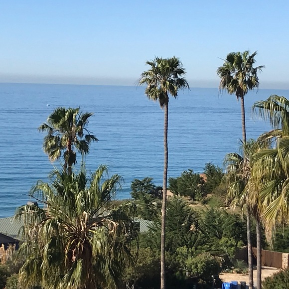 Meet your Posher, Rachel - Picture 7 of 7